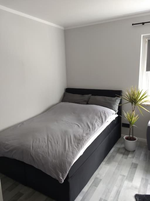 Apartment In